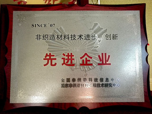 非織造材料技術(shù)進步、創(chuàng)新－先進企業(yè)