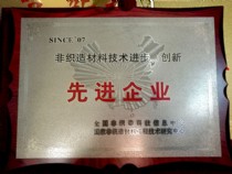 非織造材料技術進步、創(chuàng)新－先進企業(yè)