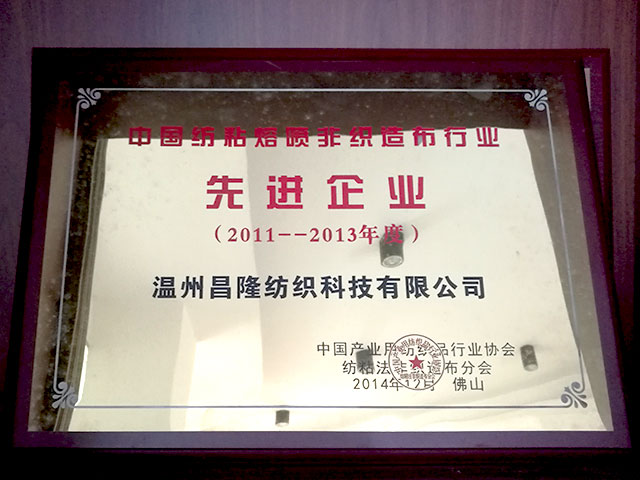 中國紡粘熔噴非織造布行業(yè)－先進企業(yè)